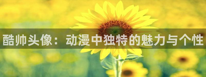 91动漫 ios：酷帅头像：动漫中独特的魅力与个性