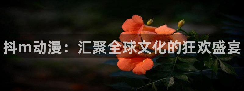 91动漫18+：抖m动漫：汇聚全球文化的狂欢盛宴