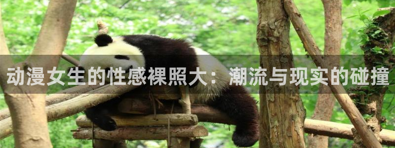 91动漫.com：动漫女生的性感裸照大：潮流与现实的碰撞