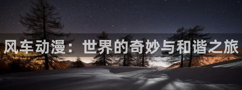 91动漫免费视频：风车动漫：世界的奇妙与和谐之旅